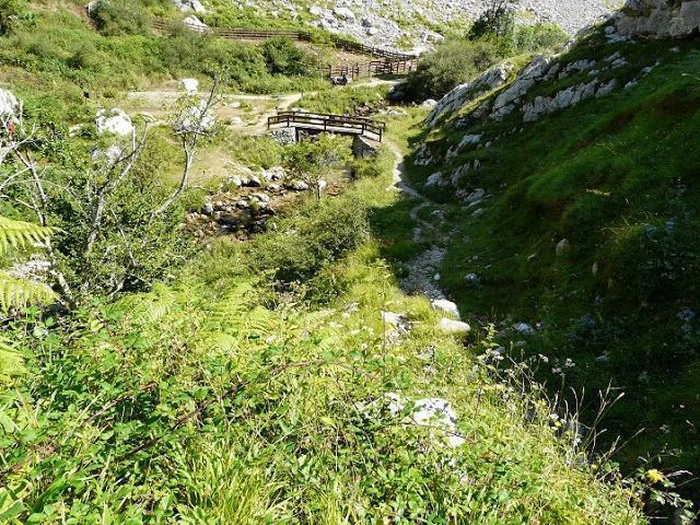 Casas Rurales cerca de Picos de Europa