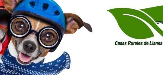 viajar con mascotas