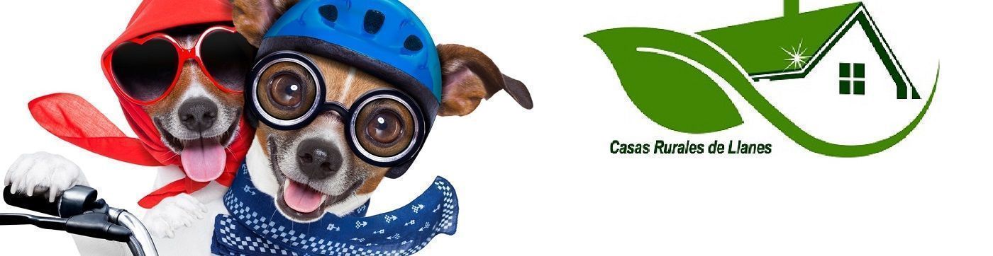 Alojamientos Pet-Friendly en Asturias: Descubre el Paraíso con Tu Mascota