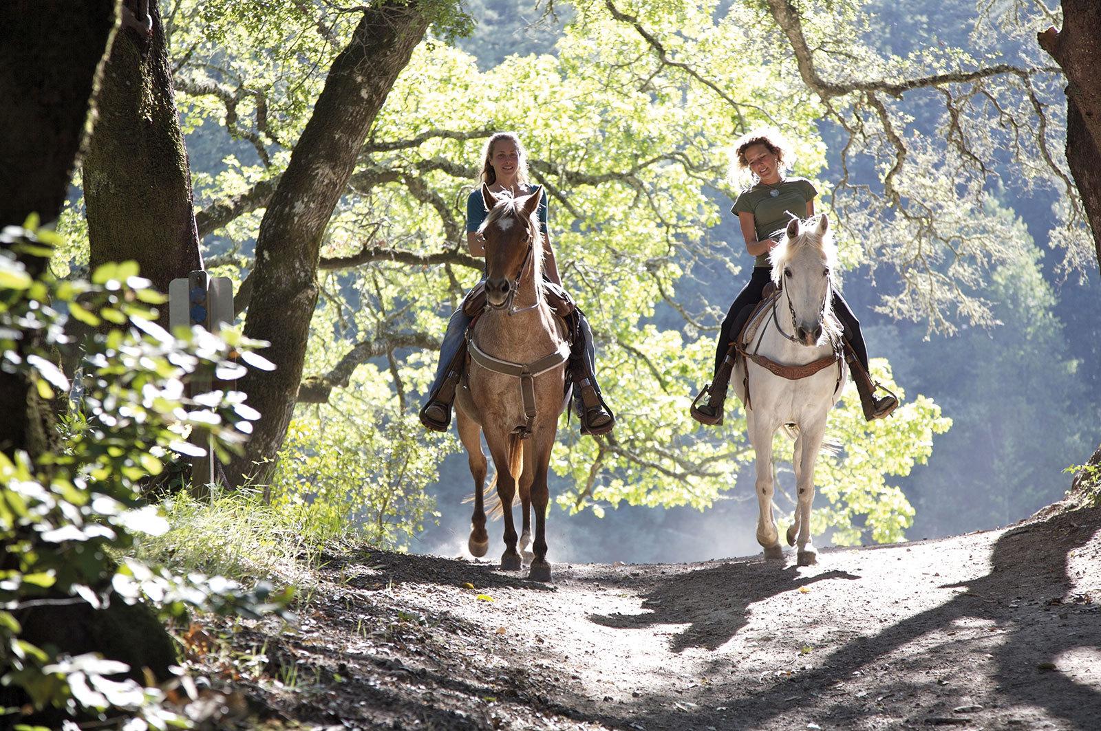 Rutas a Caballo