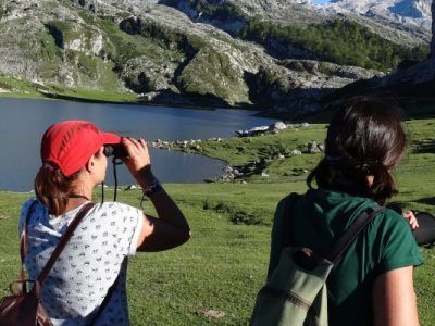 avistamiento de aves
