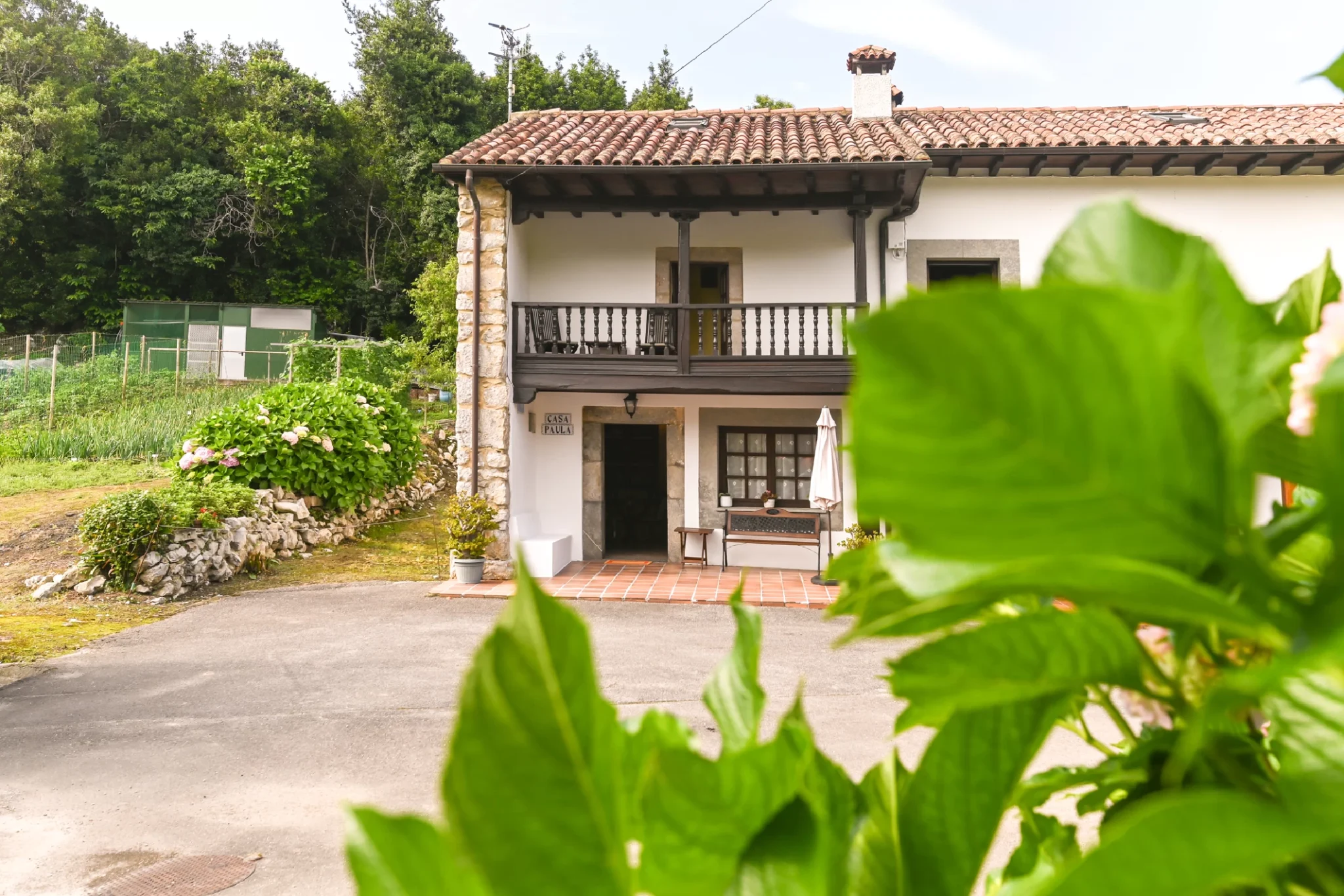 Casa Paula Picones