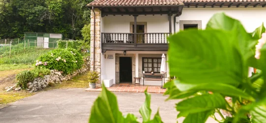 Casa Paula Picones