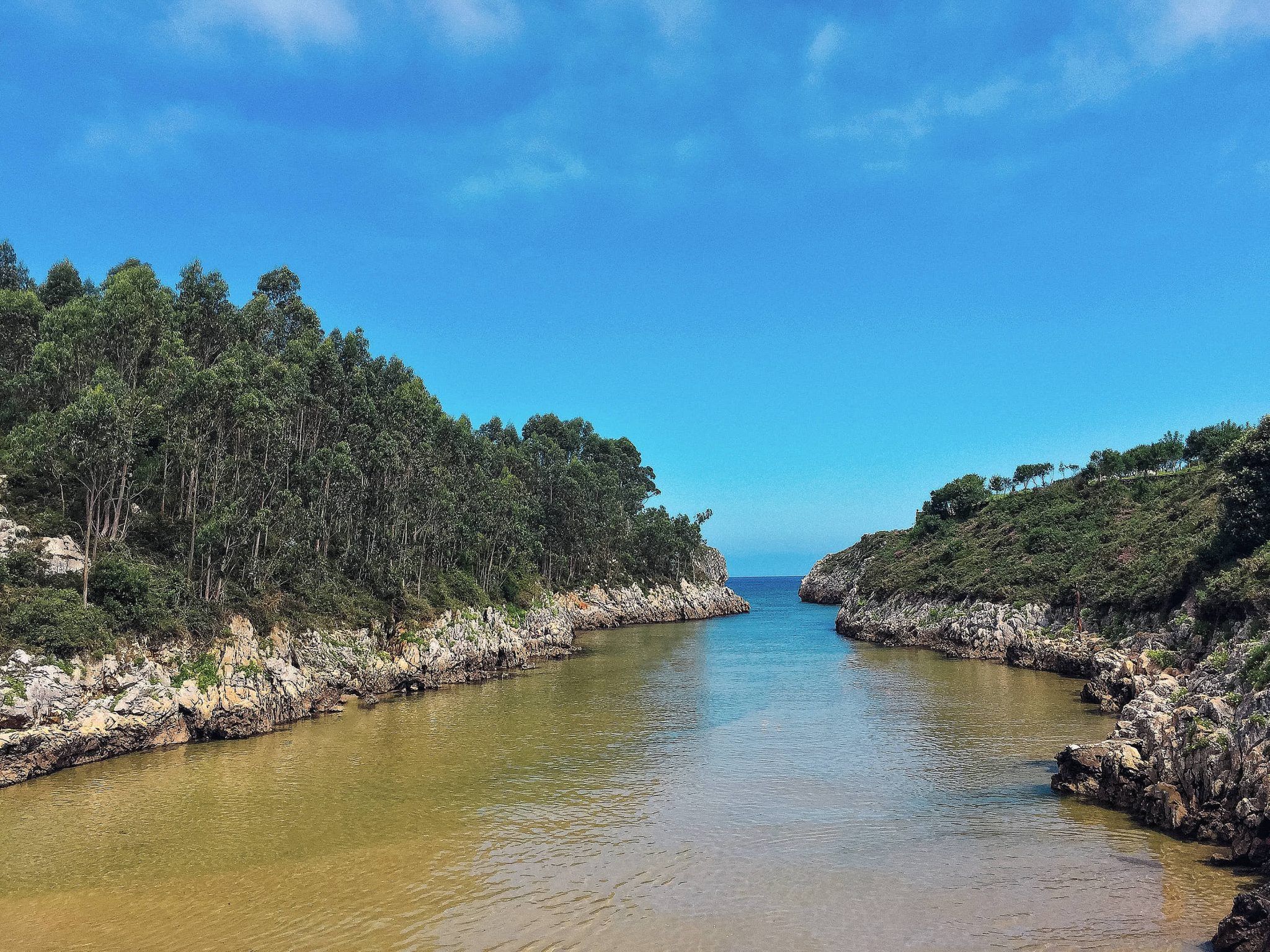 Playa Guadamia
