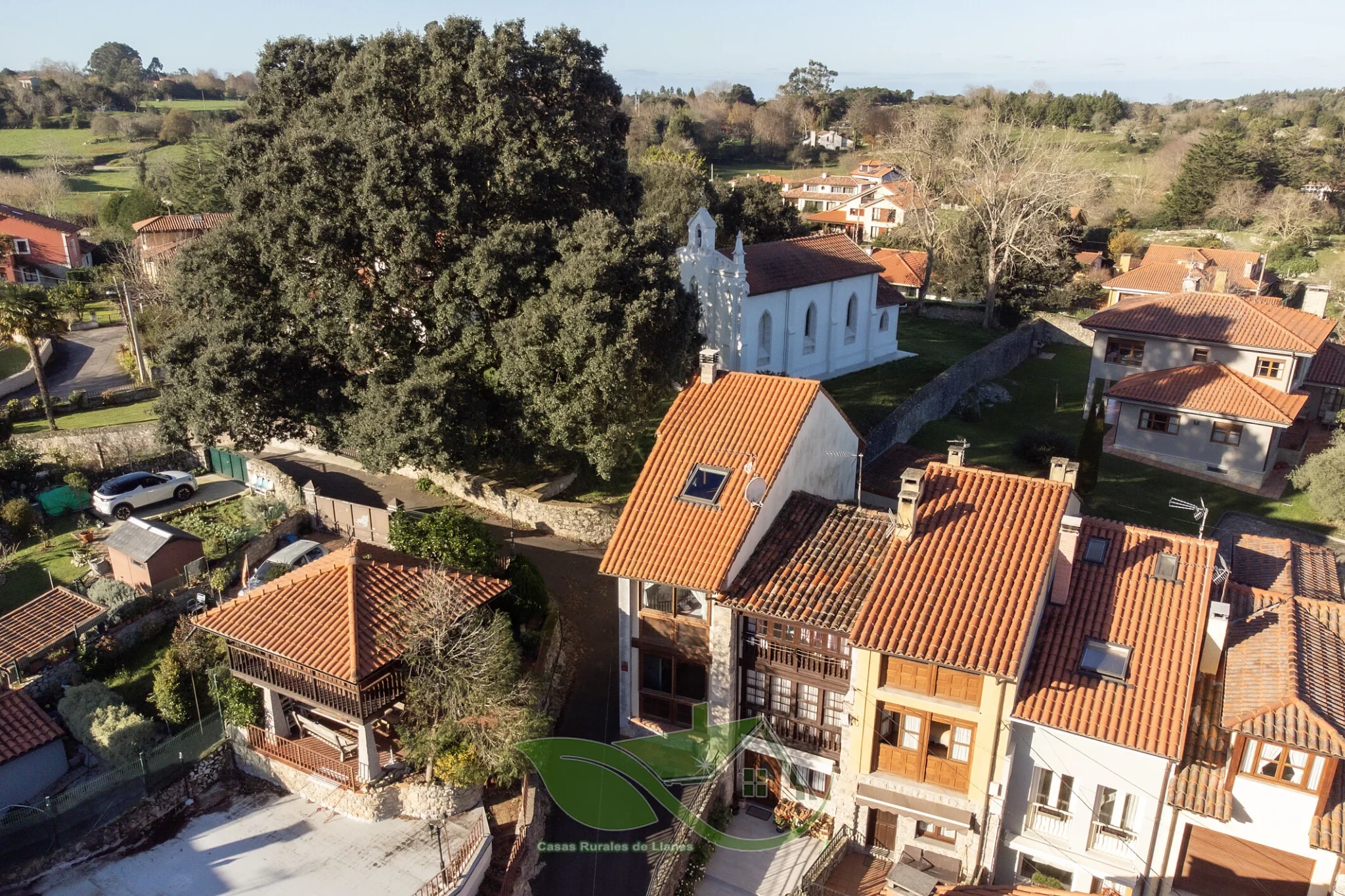 La Encina de Pancar