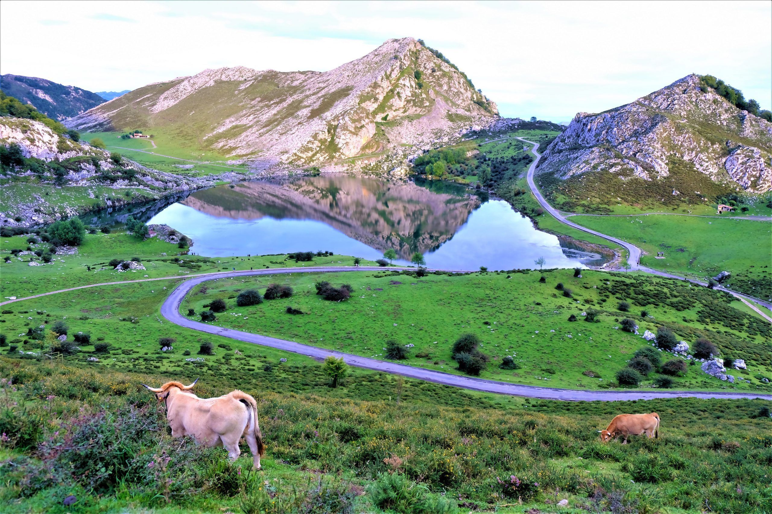 Gestión de Alquileres Vacacionales en Asturias
