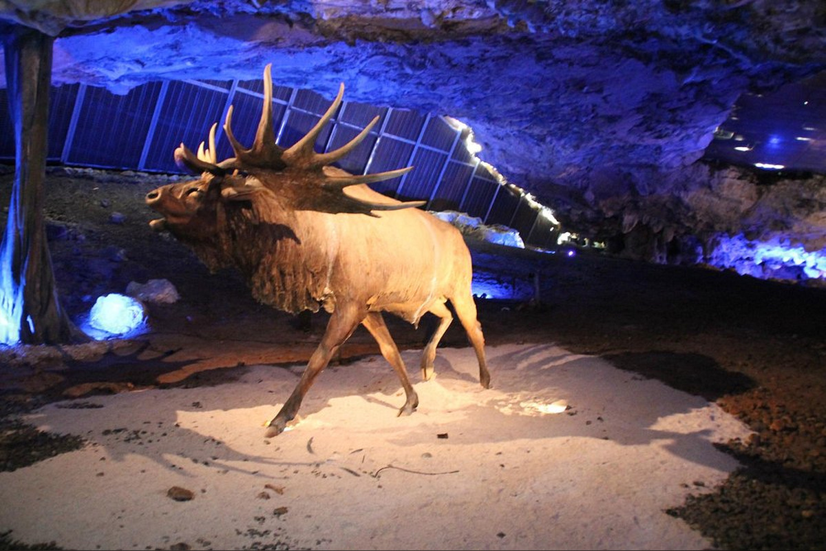 Cueva de Avín en Asturias | Visita ideal con niños