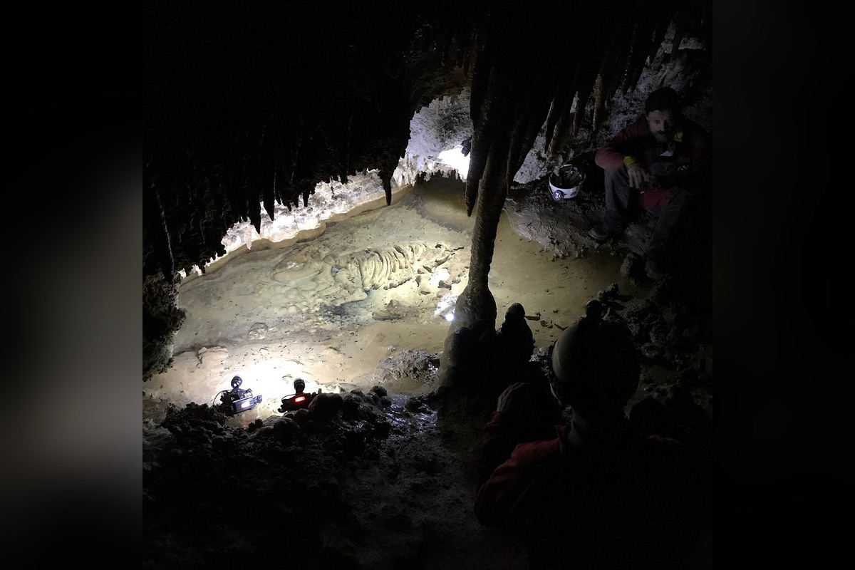 Cueva de Avín en Asturias | Visita ideal con niños